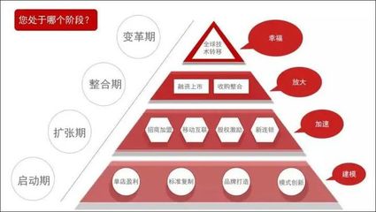 數(shù)字化賦能 軟件開發(fā)如何助力連鎖品牌標(biāo)準(zhǔn)化管理效率提升